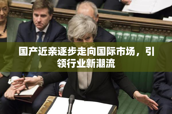 国产近亲逐步走向国际市场，引领行业新潮流