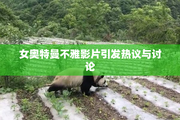 女奥特曼不雅影片引发热议与讨论