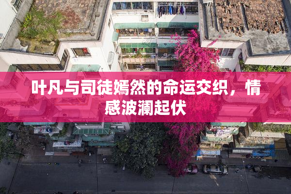 叶凡与司徒嫣然的命运交织，情感波澜起伏