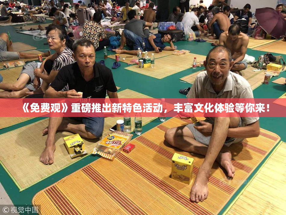 《免费观》重磅推出新特色活动，丰富文化体验等你来！