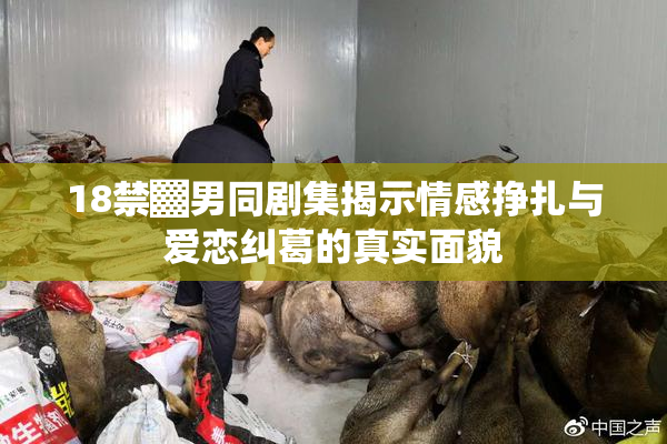 18禁▓男同剧集揭示情感挣扎与爱恋纠葛的真实面貌