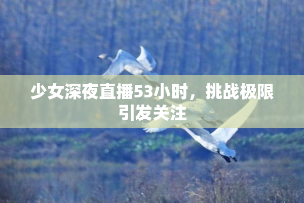 少女深夜直播53小时，挑战极限引发关注