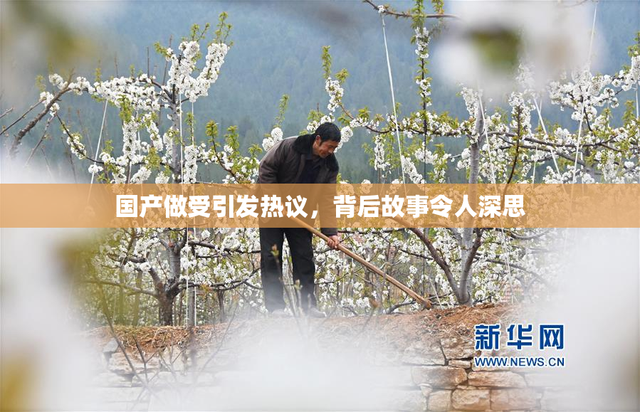 国产做受引发热议，背后故事令人深思