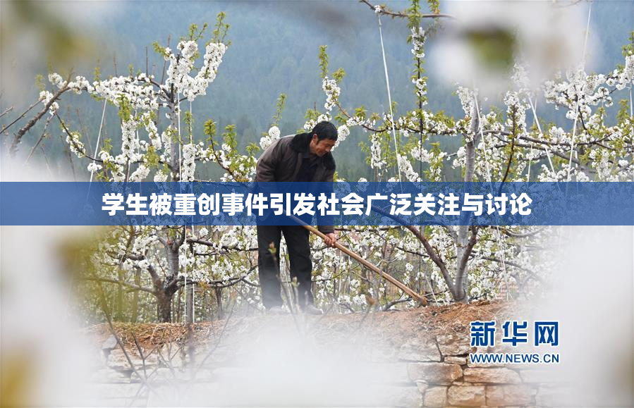 学生被重创事件引发社会广泛关注与讨论