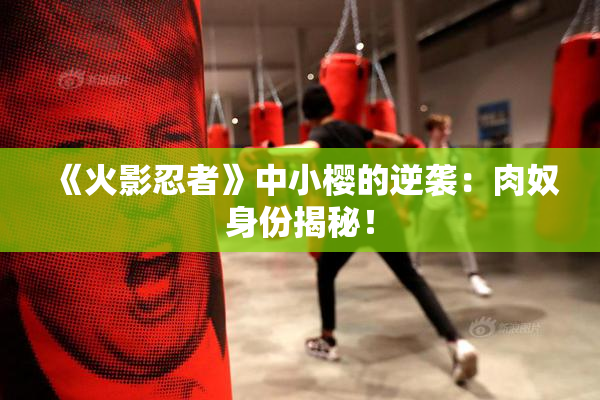 《火影忍者》中小樱的逆袭：肉奴身份揭秘！