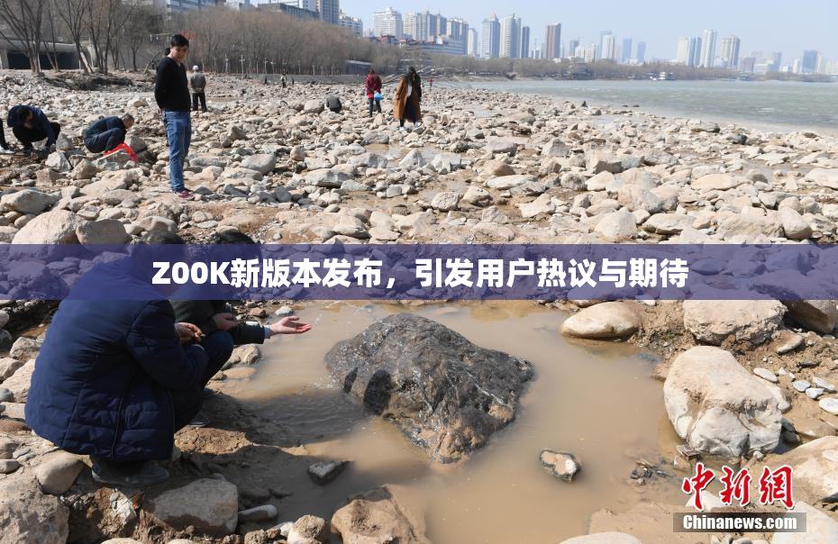Z00K新版本发布，引发用户热议与期待