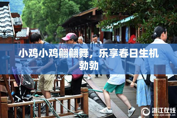 小鸡小鸡翩翩舞，乐享春日生机勃勃