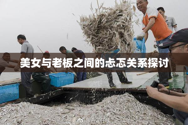 美女与老板之间的忐忑关系探讨
