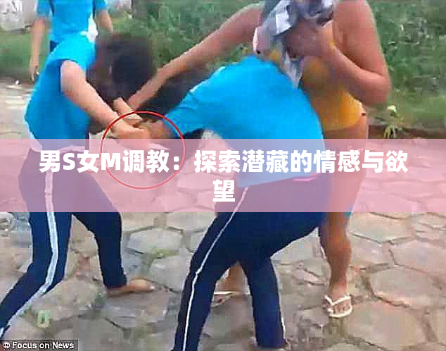 男S女M调教：探索潜藏的情感与欲望