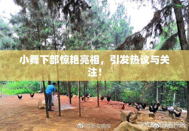 小舞下部惊艳亮相，引发热议与关注！