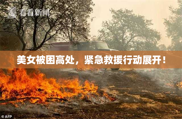 美女被困高处，紧急救援行动展开！