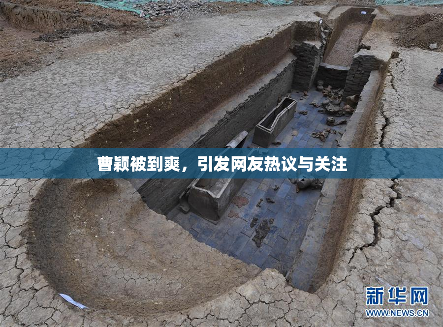 曹颖被到爽，引发网友热议与关注