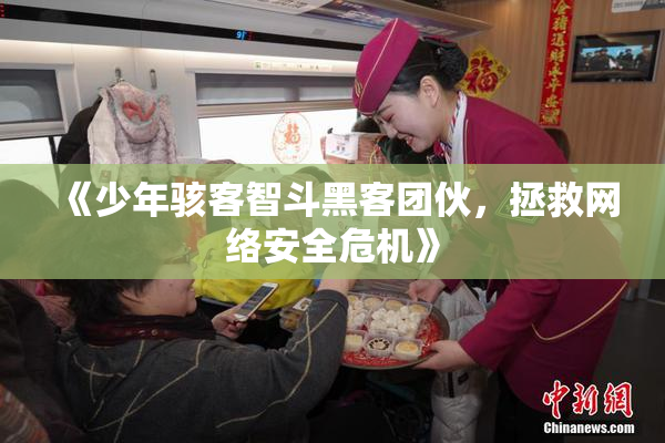 《少年骇客智斗黑客团伙，拯救网络安全危机》