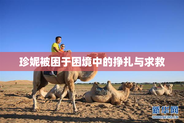 珍妮被困于困境中的挣扎与求救