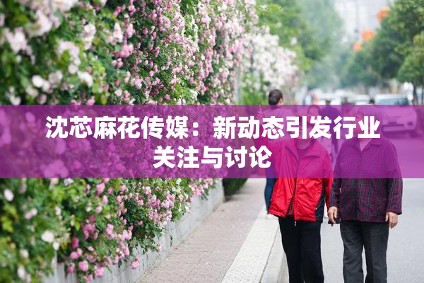 沈芯麻花传媒：新动态引发行业关注与讨论