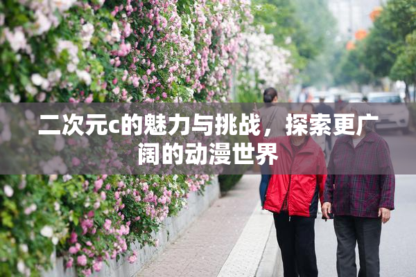 二次元c的魅力与挑战，探索更广阔的动漫世界