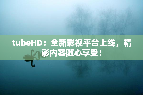 tubeHD：全新影视平台上线，精彩内容随心享受！