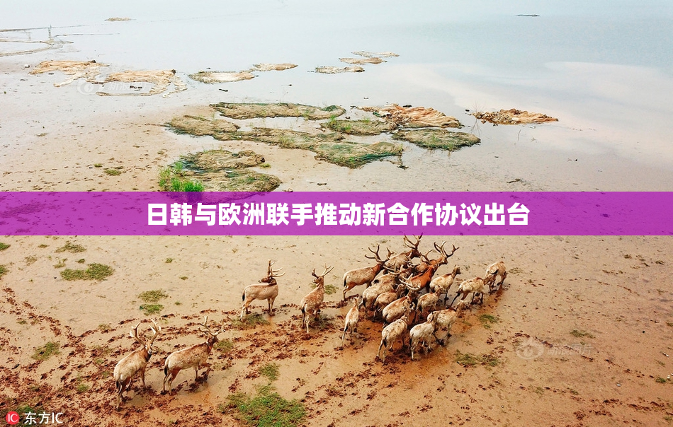 日韩与欧洲联手推动新合作协议出台
