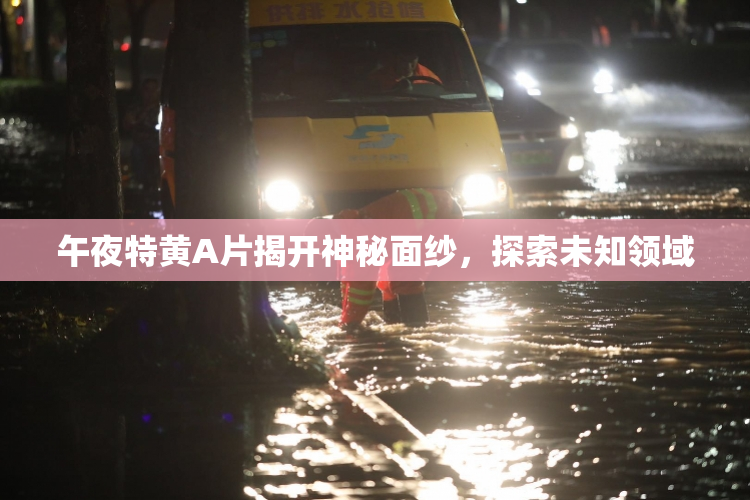 午夜特黄A片揭开神秘面纱，探索未知领域