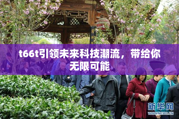 t66t引领未来科技潮流，带给你无限可能