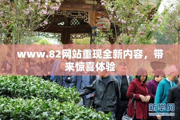 www.82网站重现全新内容，带来惊喜体验
