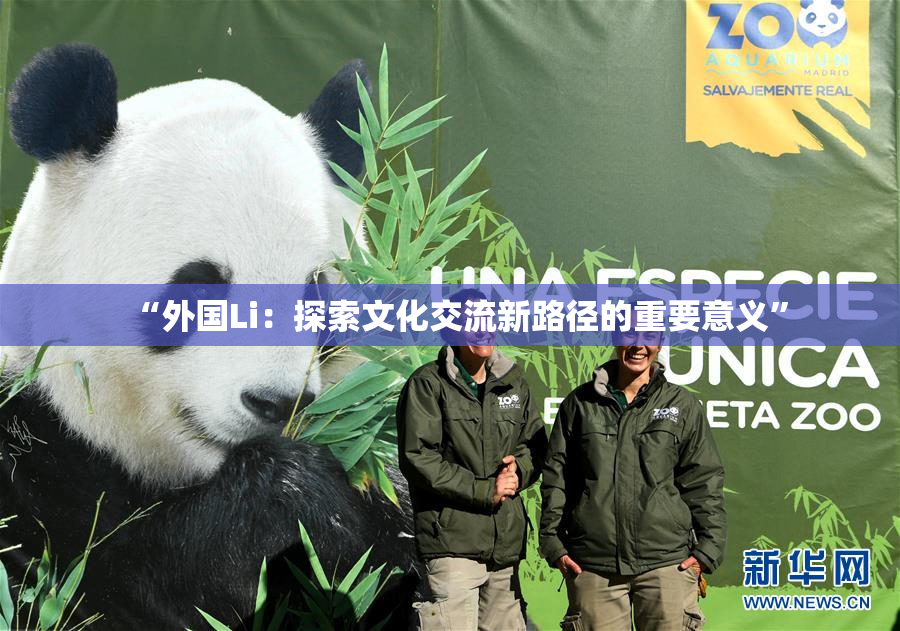 “外国Li：探索文化交流新路径的重要意义”