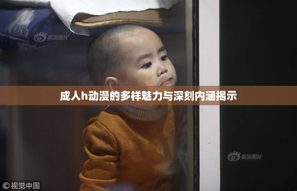 成人h动漫的多样魅力与深刻内涵揭示