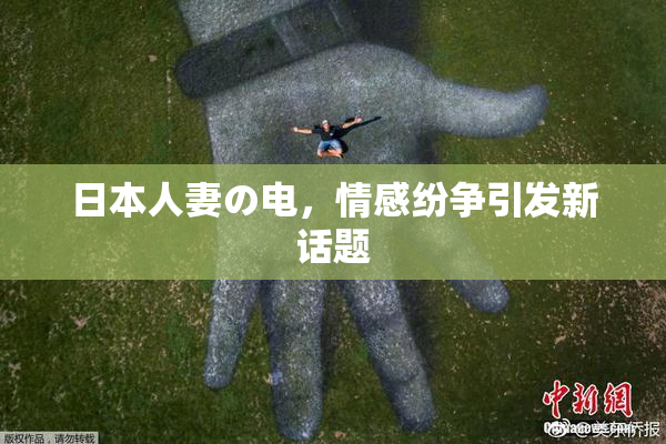 日本人妻の电，情感纷争引发新话题