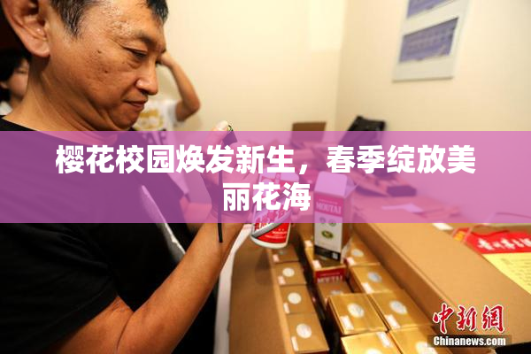 樱花校园焕发新生，春季绽放美丽花海
