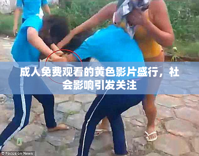 成人免费观看的黄色影片盛行，社会影响引发关注