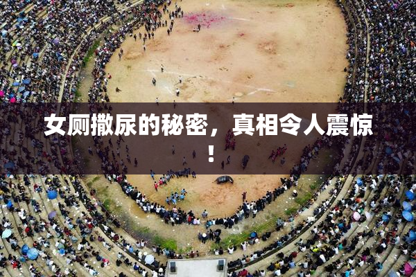 女厕撒尿的秘密，真相令人震惊！