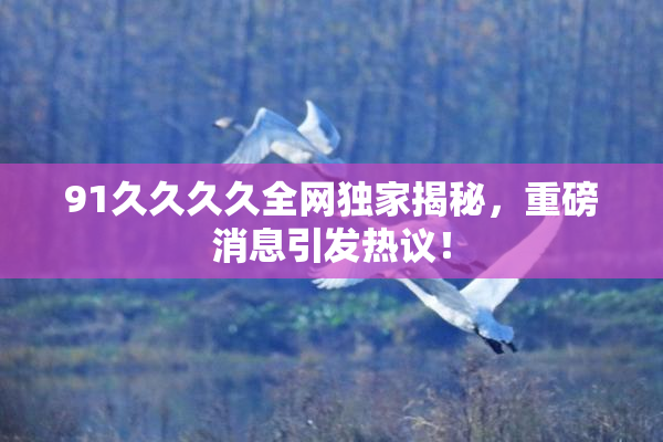 91久久久久全网独家揭秘，重磅消息引发热议！