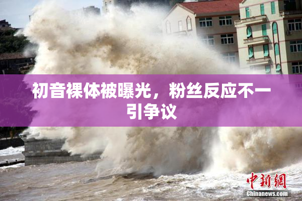 初音裸体被曝光，粉丝反应不一引争议