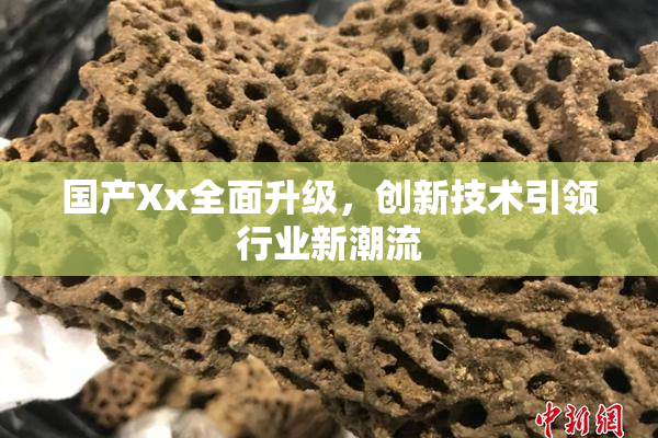 国产Xx全面升级，创新技术引领行业新潮流