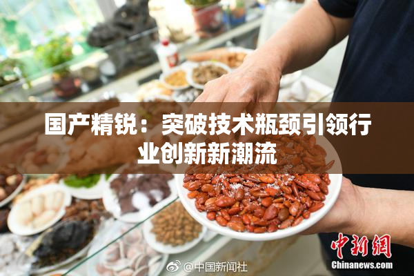 国产精锐：突破技术瓶颈引领行业创新新潮流