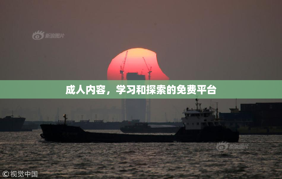 成人内容，学习和探索的免费平台