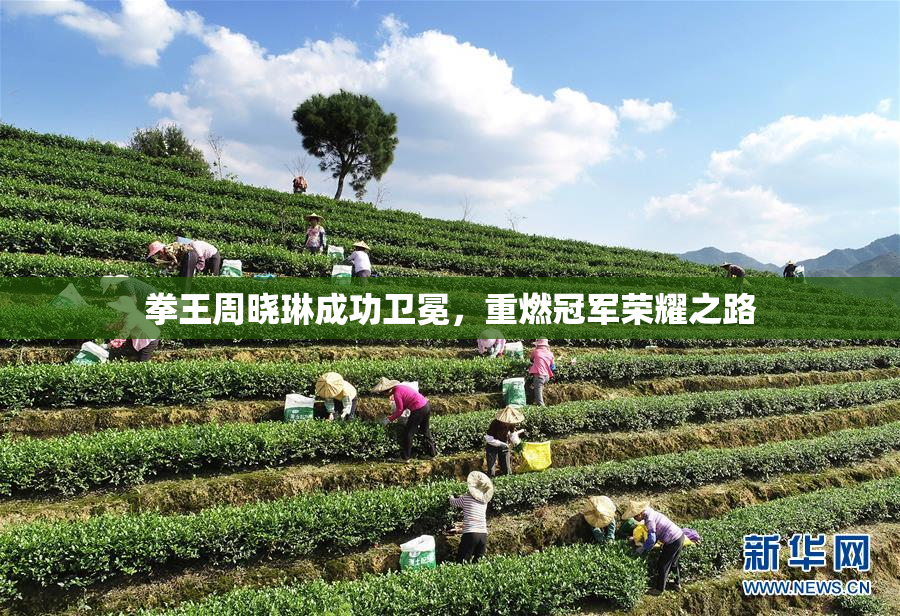 拳王周晓琳成功卫冕，重燃冠军荣耀之路