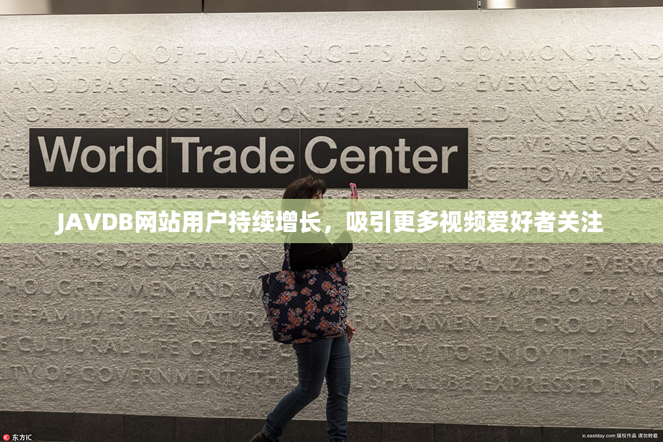 JAVDB网站用户持续增长，吸引更多视频爱好者关注
