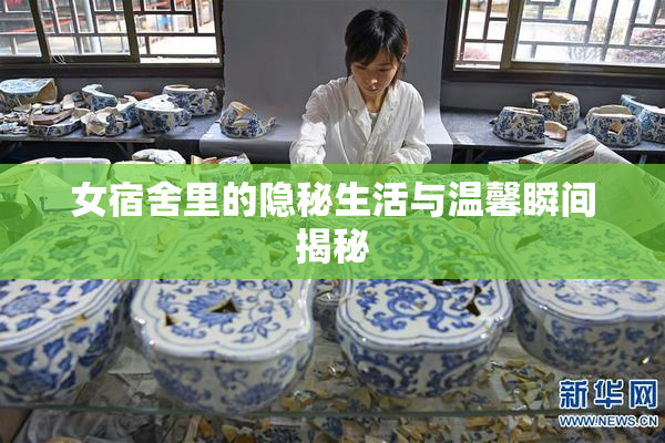 女宿舍里的隐秘生活与温馨瞬间揭秘