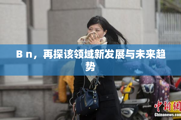 B n，再探该领域新发展与未来趋势