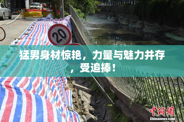 猛男身材惊艳，力量与魅力并存，受追捧！