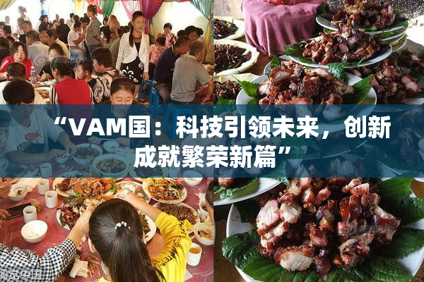 “VAM国：科技引领未来，创新成就繁荣新篇”
