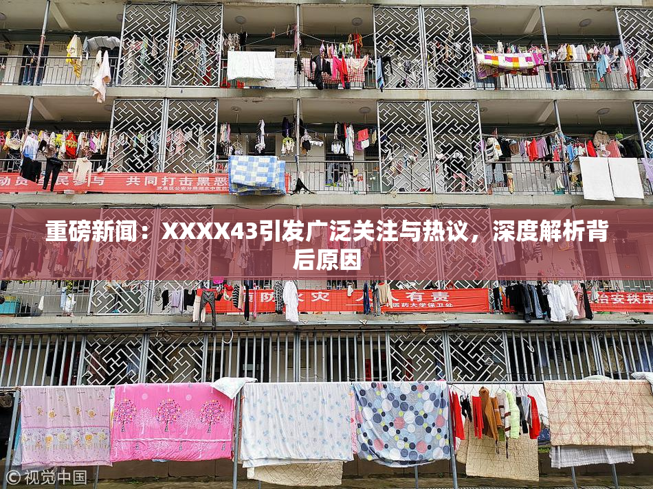 重磅新闻：XXXX43引发广泛关注与热议，深度解析背后原因