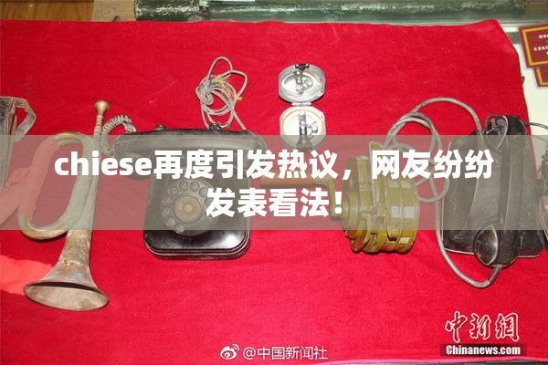chiese再度引发热议，网友纷纷发表看法！