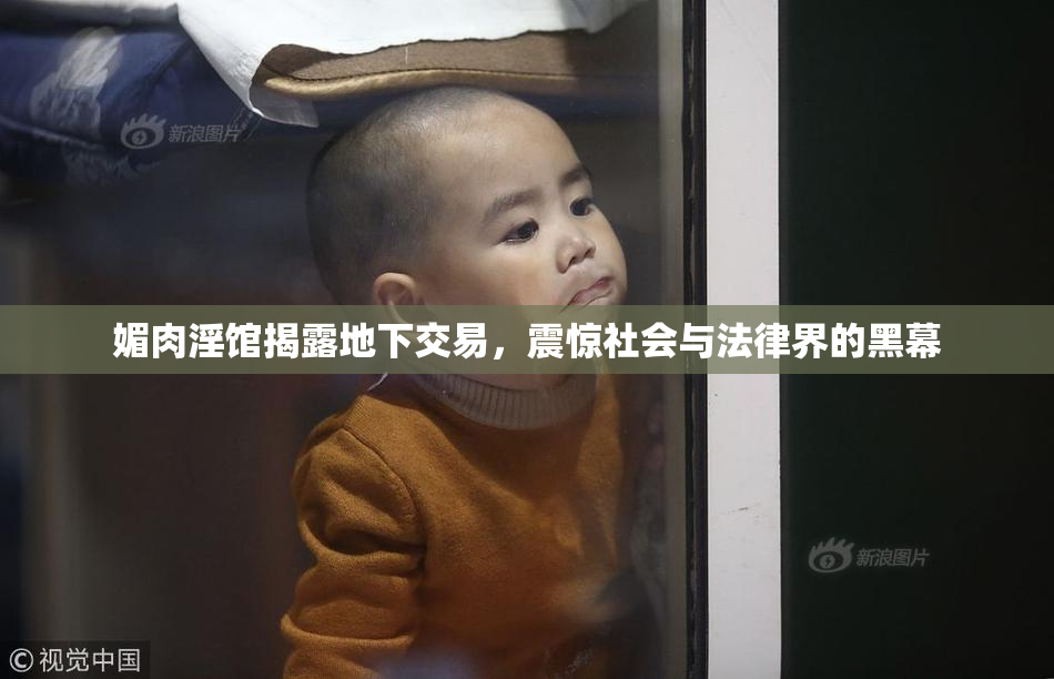 媚肉淫馆揭露地下交易，震惊社会与法律界的黑幕