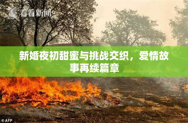 新婚夜初甜蜜与挑战交织，爱情故事再续篇章