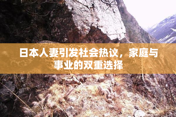 日本人妻引发社会热议，家庭与事业的双重选择