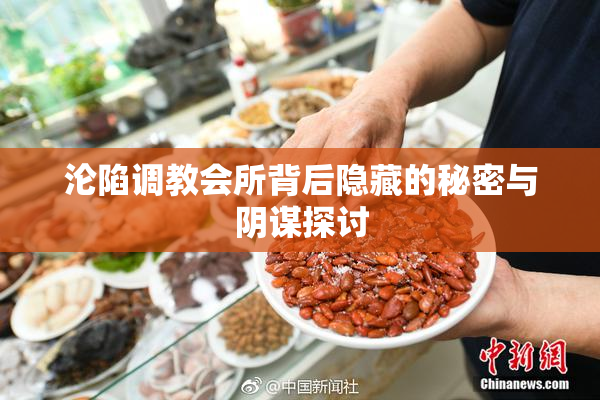 沦陷调教会所背后隐藏的秘密与阴谋探讨