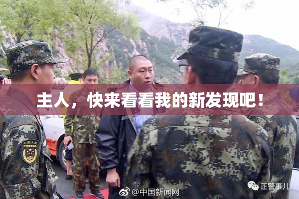 主人，快来看看我的新发现吧！