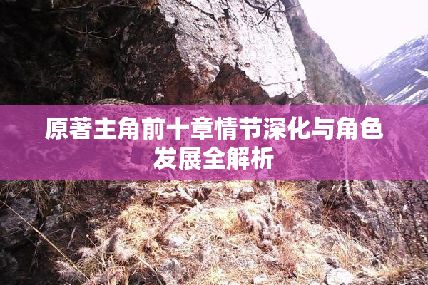 原著主角前十章情节深化与角色发展全解析